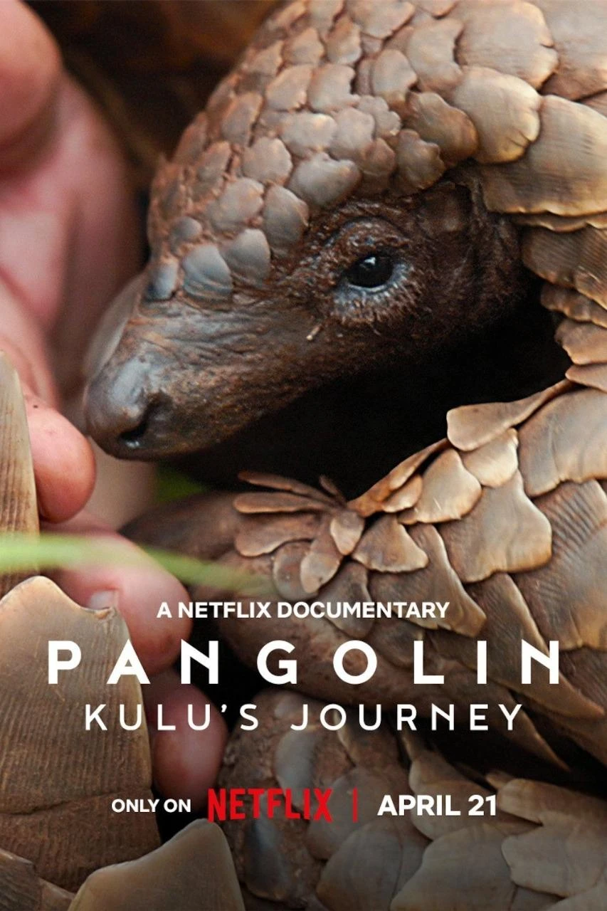 Loài Tê Tê: Hành Trình Của Kulu | Pangolin: Kulu's Journey (2025)