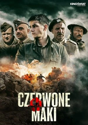 Những Đoá Anh Túc Đỏ | Czerwone maki/Red Poppies (2024)
