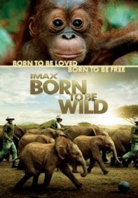 Những Loài Vật Mồ Côi | Born to Be Wild (2011) Những Loài Vật Mồ Côi | Born to Be Wild (2011)